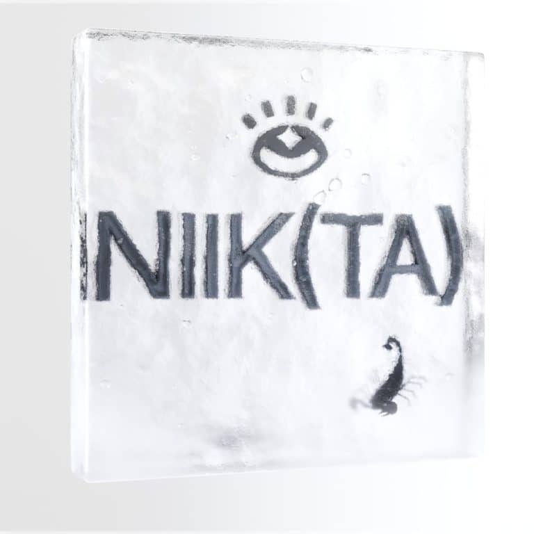 Cozy melodic house live mix by NIIKTA!
